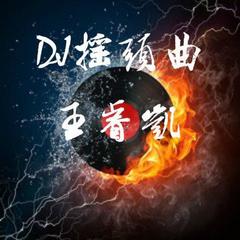 dj摇头曲