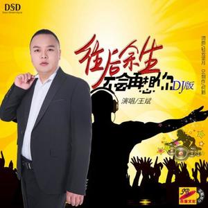 往后余生不会再想你(DJ何鹏 Remix)