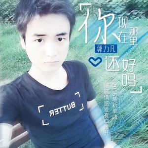 你现在那里还好吗专辑_郭力凡_无损音乐专辑_酷我音乐