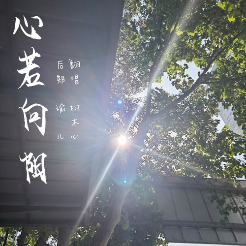 心若向阳 (cover: 张哲瀚)