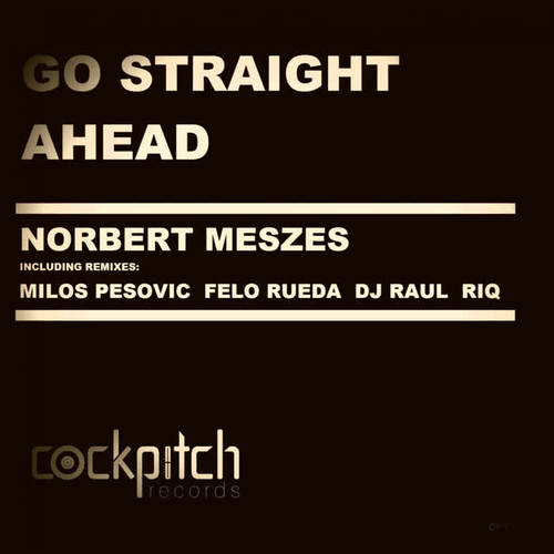 go straight ahead(milos pesovic, felo rueda remastered remix)
