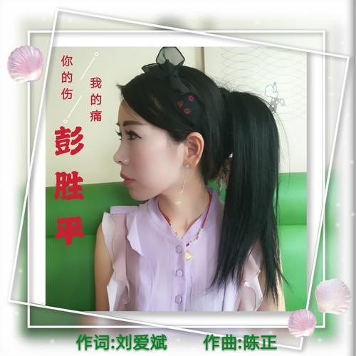 你的伤 我的痛_彭胜平_单曲在线试听_酷我音乐