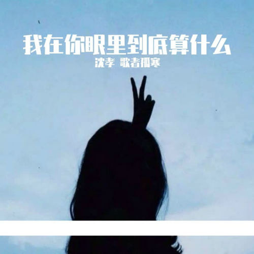 我在你眼里到底算什么(dj串烧)