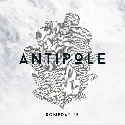 someday 45_antipole_单曲在线试听_酷我音乐