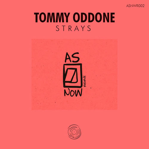 strays(original mix)