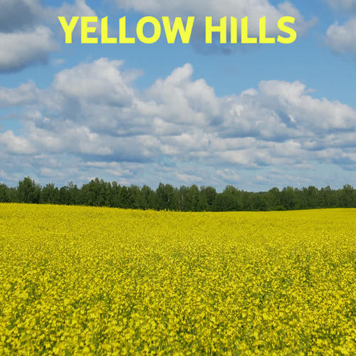 yellow hills_alex tsk_单曲在线试听_酷我音乐