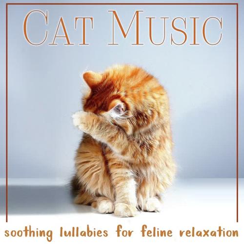 cats cradle_cat music&cat music dreams&cat music therapy_单曲