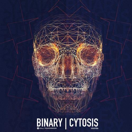 cytosis(original mix)_binary_单曲在线试听_酷我音乐