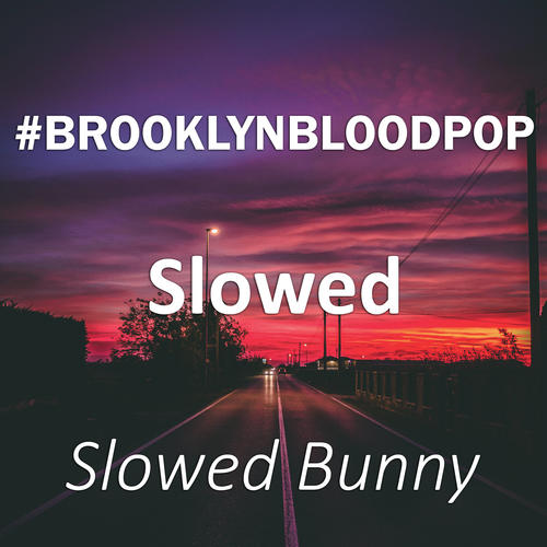 brooklynbloodpop slowed(remix)