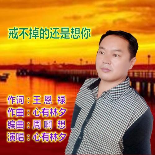 歌曲《戒不掉的还是想你,作词:王恩禄,作曲:心