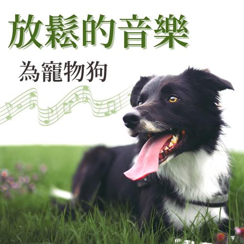 放松的音乐为宠物狗_动物放松音乐_单曲在线试听_酷我音乐