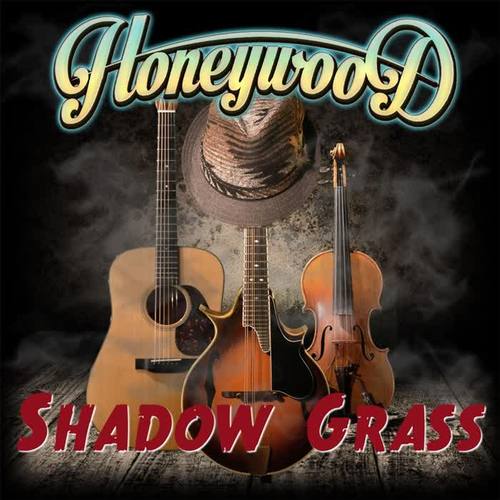 honeywood is five-piece jamgrass band from