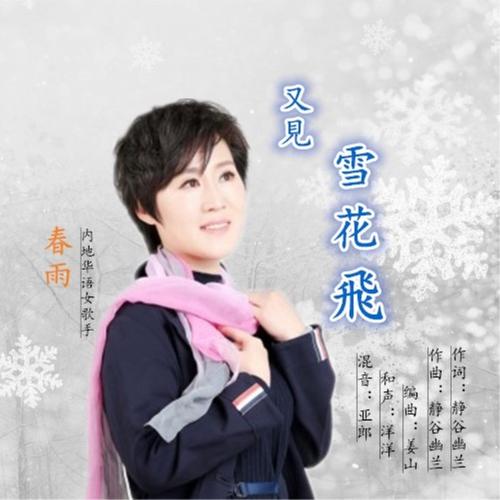 又见雪花飞_春雨_单曲在线试听_酷我音乐