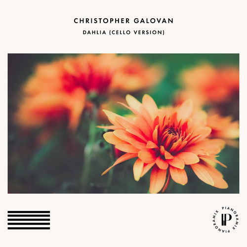 Dahlia Cello Version Christopher Galovan Mp Mp