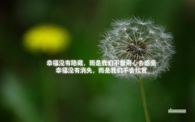 酷我音乐背景壁纸_酷我音乐壁纸,酷我音乐皮肤壁纸 ...