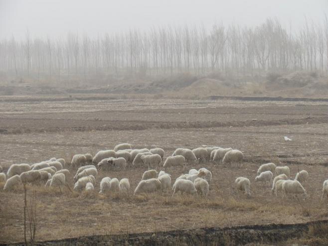 酷我_音乐人吧_北方的天空下--乌兰托娅