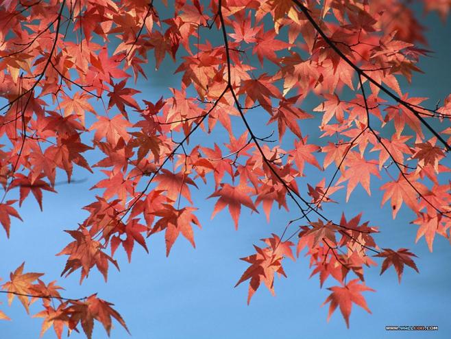 酷我_一首歌的感觉吧_心如止水-胡白