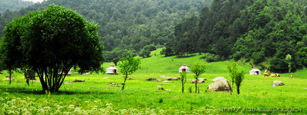 酷我_民族音乐吧_雪域刀妹──兰卡措