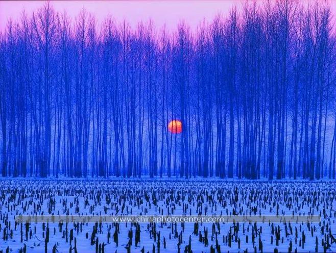 ppoo12345678 - 酷我音乐空间 - 日志