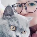 私と猫