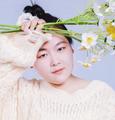 春宇森