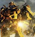 Bumblebee