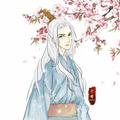 卡布Kano&兰天力