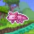 Faxolotl胖头螈