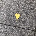 晴空喬