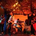 Yellowbirds&Sam Cohen