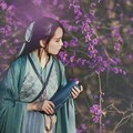 鹿九鹅