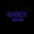Dj Pulya