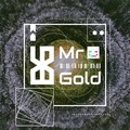 Mr.Gold&NoMTR