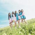 ELRIS