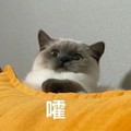 昀次&初瞳