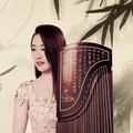 古筝独奏