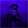XloveSF