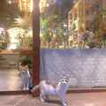 TuTacii