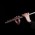 徐生flute