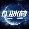 dj冰鹤&冰什么鹤&美丽陈叔
