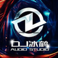 冰什么鹤&dj冰鹤&dj苏辰&DJ钰&DJ琦先森