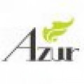 Azur&Nelu Vlad&FORMATIA AZUR DIN BRAILA