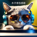 木子李伤感歌