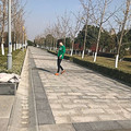 宋禹辰