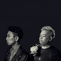 스틸로빌&해쉬 스완