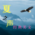 夏之声
