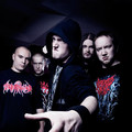 Ingested&Noiseast&MAL