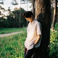 树先森