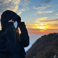 何必听风动容