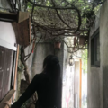 注意力zyl